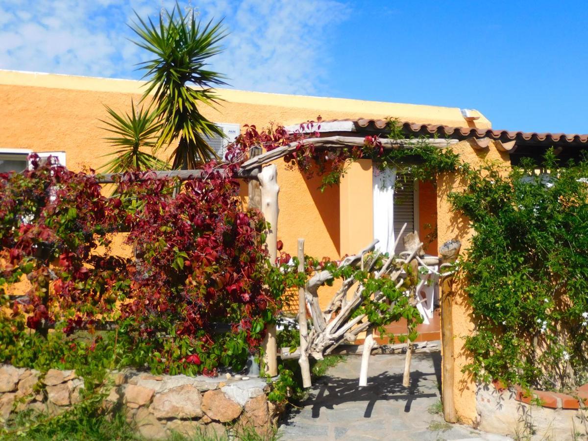 Residence La Pineta Budoni Εξωτερικό φωτογραφία