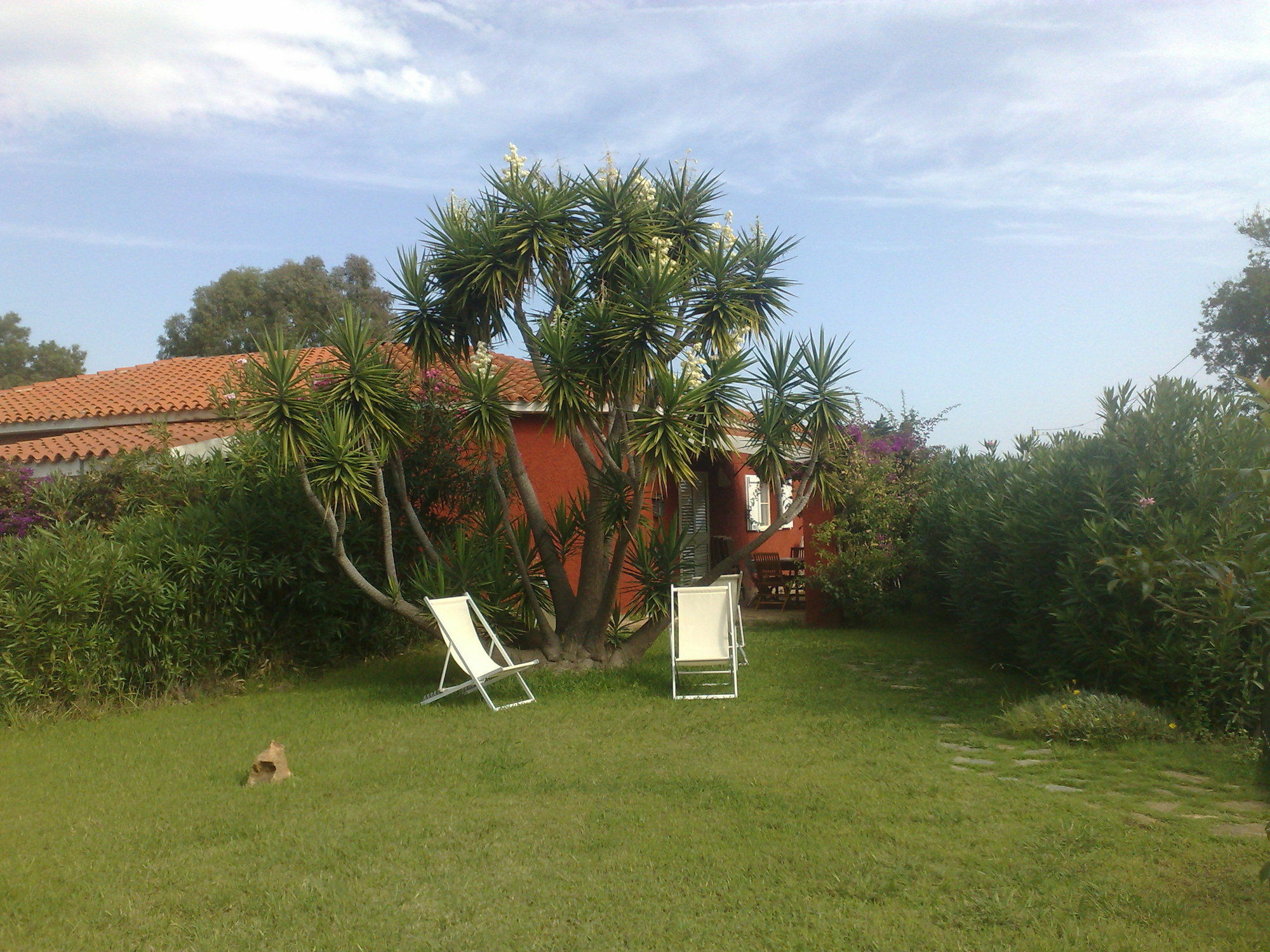 Residence La Pineta Budoni Εξωτερικό φωτογραφία